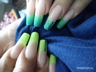 Gánnak új kaméleon zselé